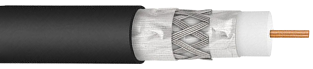 y8041.jpg