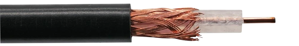 y8057.jpg
