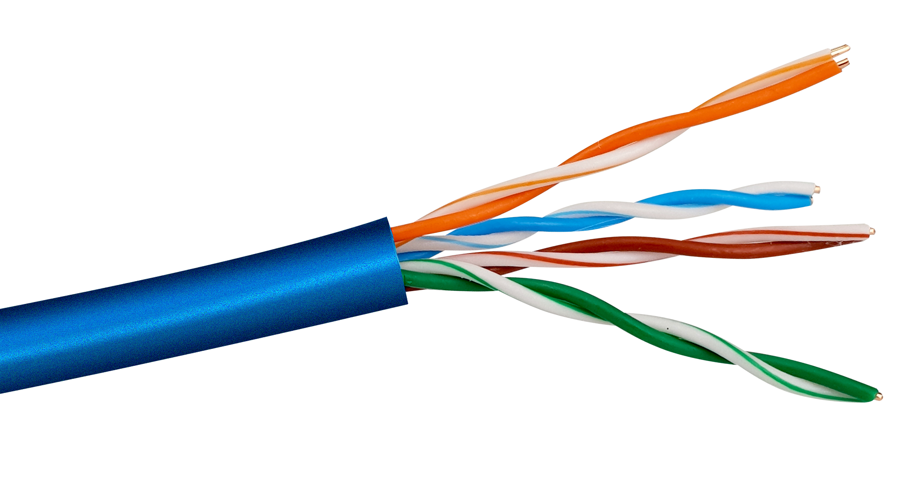 y8400.jpg